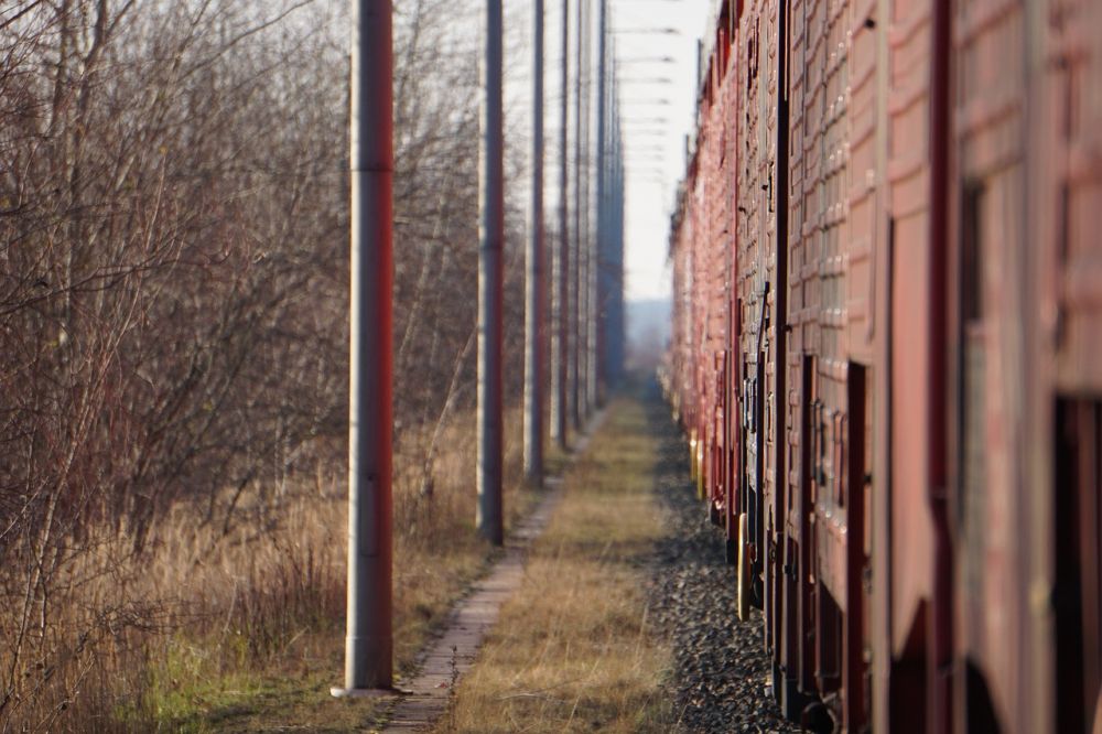 Varetransport: Nervebanen i Moderne Logistikk